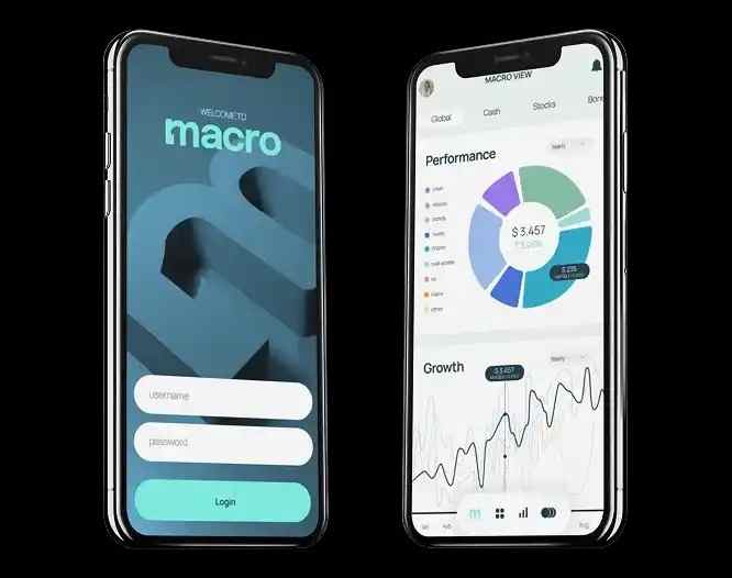 Macro financial mobile app showing login screen and performance dashboard on iPhone screens